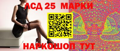 гашик Брянск