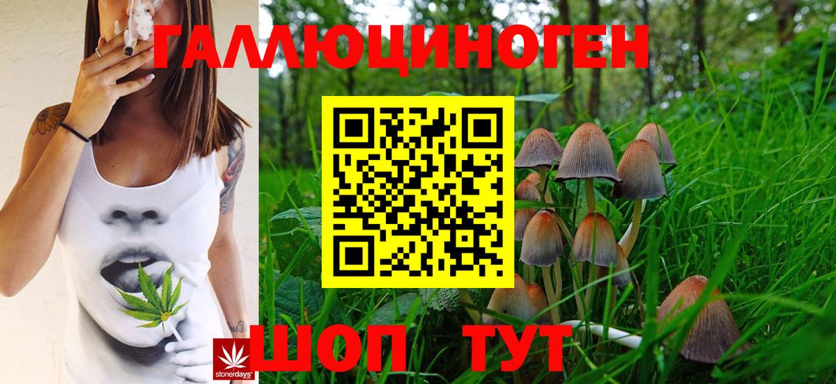 Галлюциногенные грибы Cubensis  Псилоцибиновые грибы мицелий  Вход с VPN  Городец 
